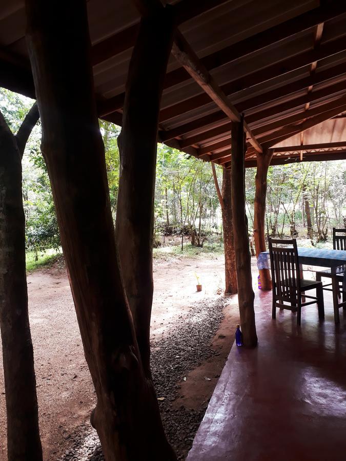 Aralu Habarana Resort Ngoại thất bức ảnh